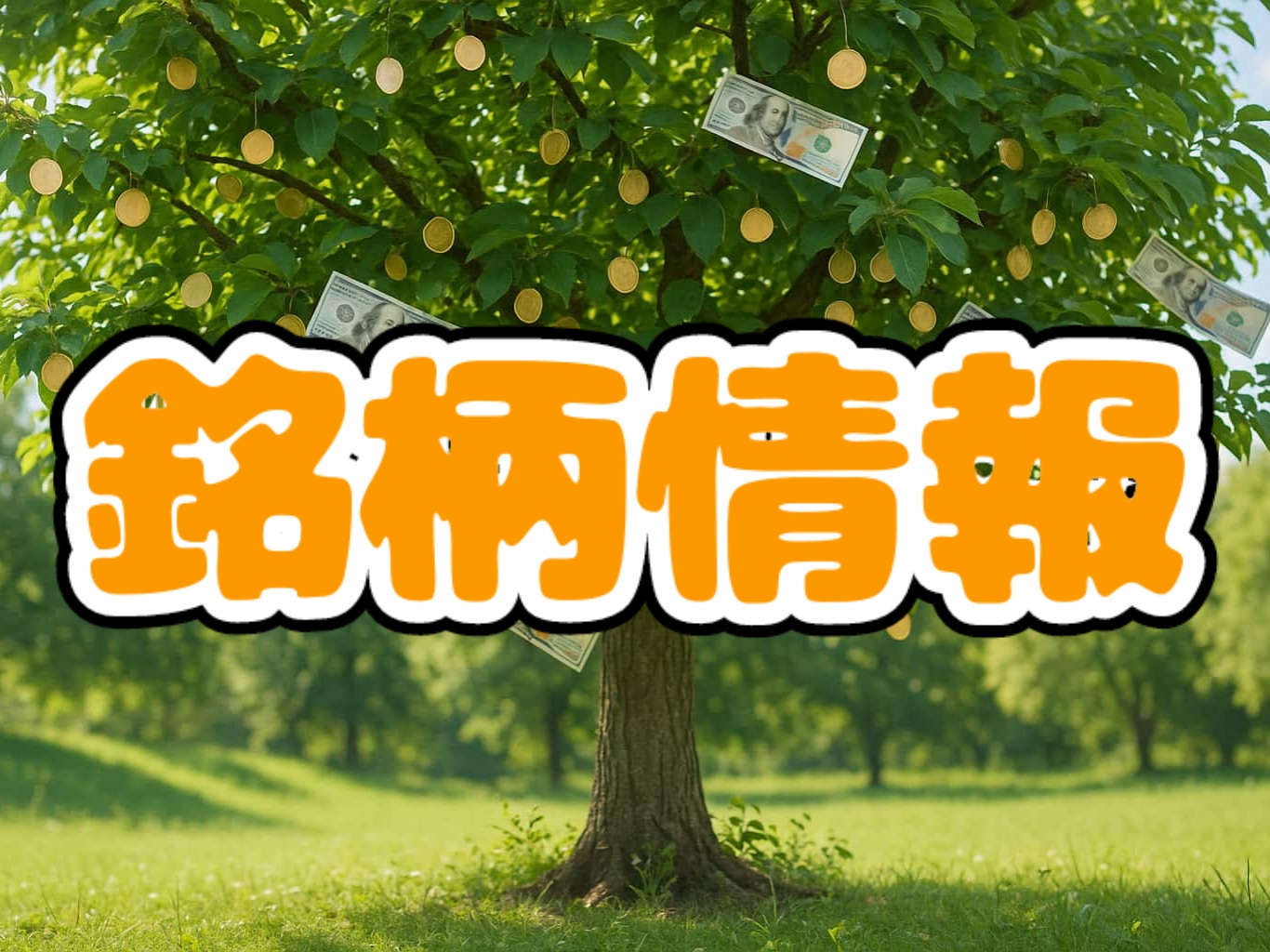 銘柄情報